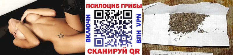 Галлюциногенные грибы Psilocybine cubensis Сосновоборск